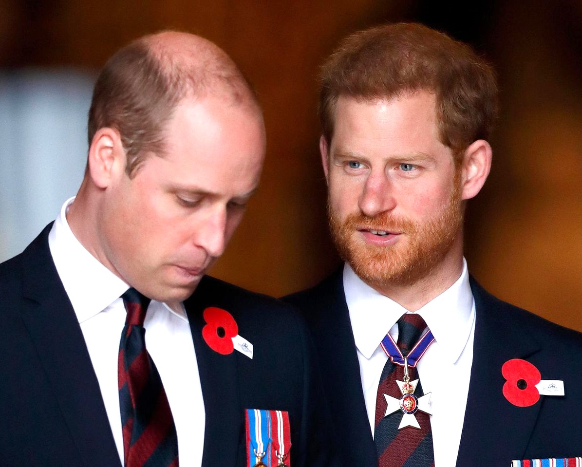 William schlägt Harry nieder! Es ging um Meghan! - In seiner Biografie packt Prinz Harry aus